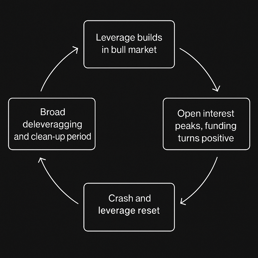 A minimalist loop diagram labeled Build-Up → Euphoria → Liquidation → Reset, showing the cyclical nature of leverage in markets. Circular arrows in teal and orange tones on a dark background.